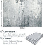 Washable Rugs for Living Room Large Non