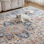 Washable Rugs for Living Room Area Bedroom Short
