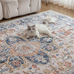 Washable Rugs for Living Room Area Bedroom Short
