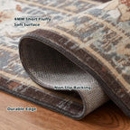 Washable Rugs for Living Room Area Bedroom Short