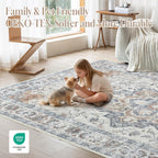 Washable Rugs for Living Room Area Bedroom Short