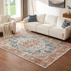 Washable Rugs for Living Room Area Bedroom Short