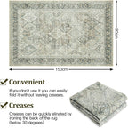 Washable Rugs for Living Room Vintage