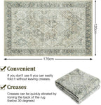 Washable Rugs for Living Room Vintage