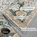 Washable Rugs Living Room