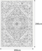 Washable Rugs Living Room