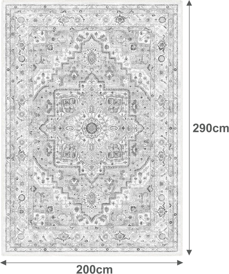 Washable Rugs