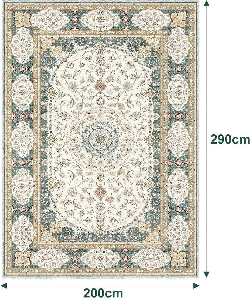 Washable Rugs