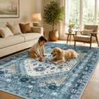 Washable Rugs Living Room Distressed Vintage Area