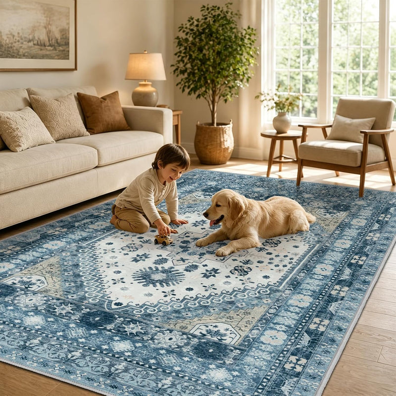 Washable Rugs Living Room Distressed Vintage Area