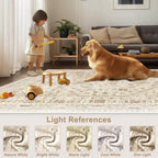 Washable Rugs Living Room Distressed Vintage Area