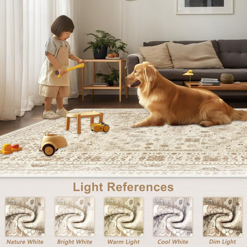 Washable Rugs Living Room Distressed Vintage Area