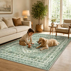 Washable Rugs Living Room Distressed Vintage Area