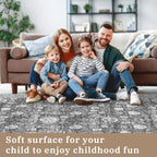 Washable Rugs Living Room Distressed Vintage Area