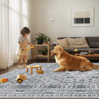 Washable Rugs Living Room Distressed Vintage Area