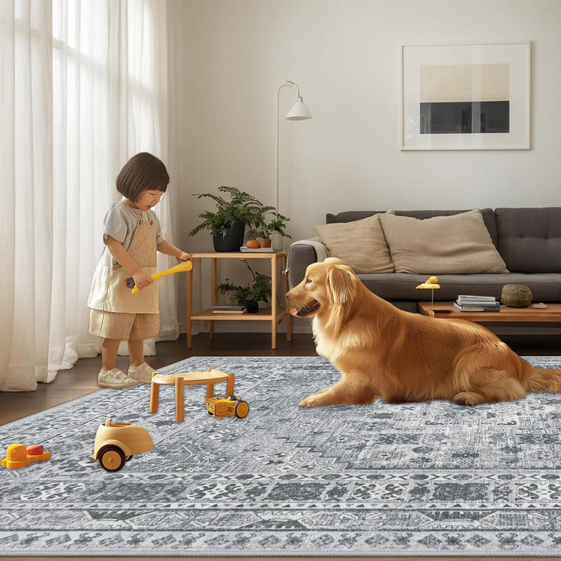Washable Rugs Living Room Distressed Vintage Area