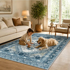 Washable Rugs Living Room Distressed Vintage Area