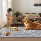 Washable Rugs Living Room Distressed Vintage Area