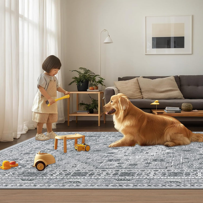 Washable Rugs Living Room Distressed Vintage Area