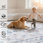 Washable Rugs Living Room Non Slip Floor