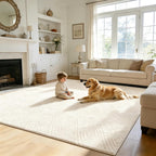 Washable Rugs Living Room Non-Slip Large Fluffy