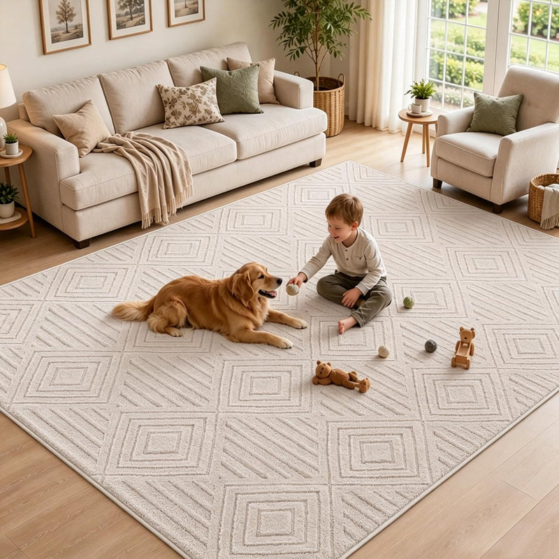 Washable Rugs Living Room Non-Slip Large Fluffy