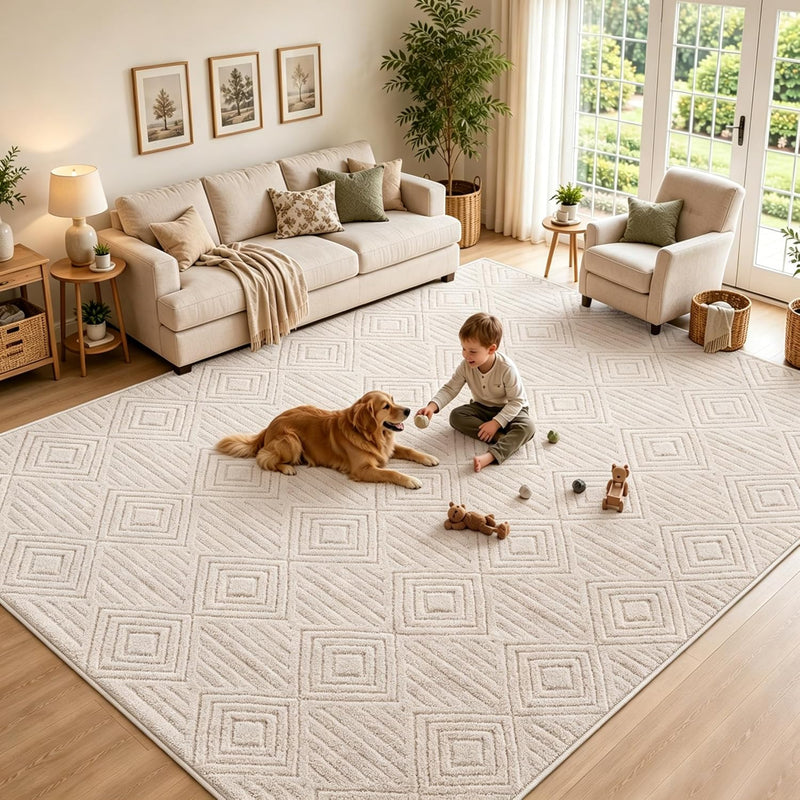 Washable Rugs Living Room Non-Slip Large Fluffy