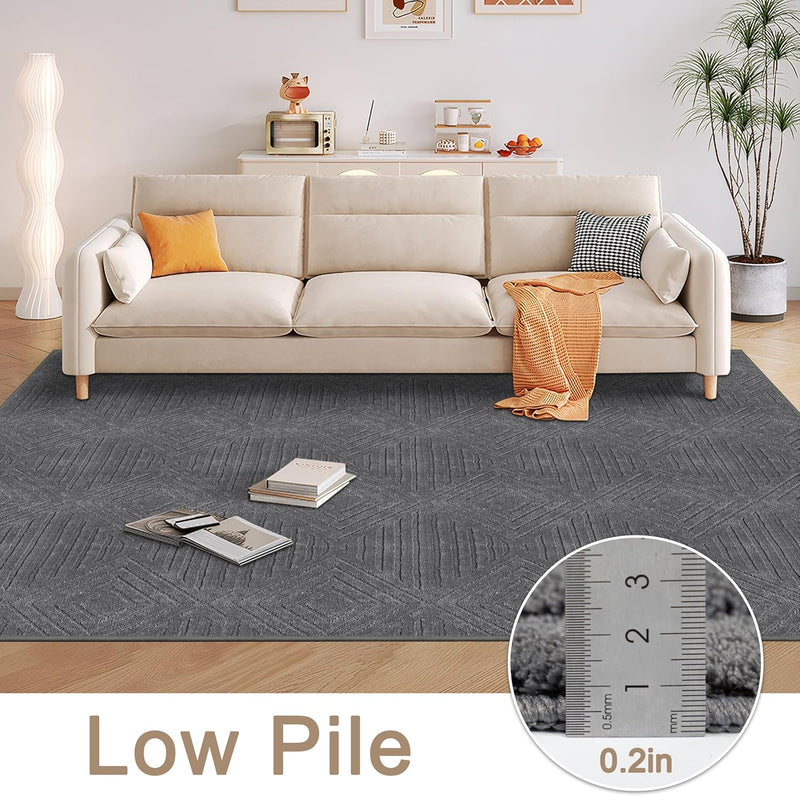 Washable Rugs Living Room Non-Slip Large Fluffy