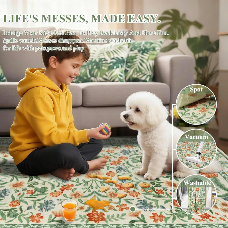 Washable Rugs Living Room Rug for Bedroom