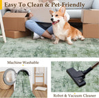 Washable Rugs Living Room Rug Non Slip