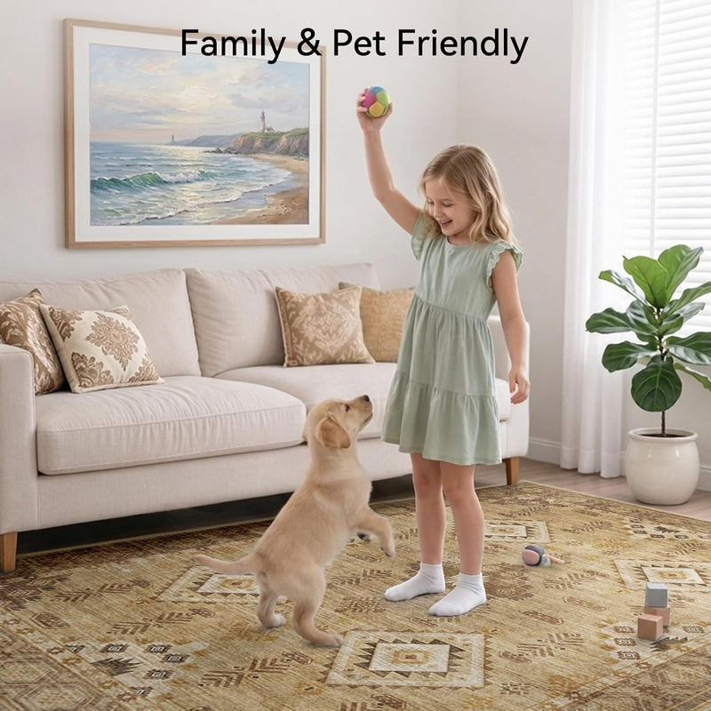 Area Rugs Living Room Washable Rug