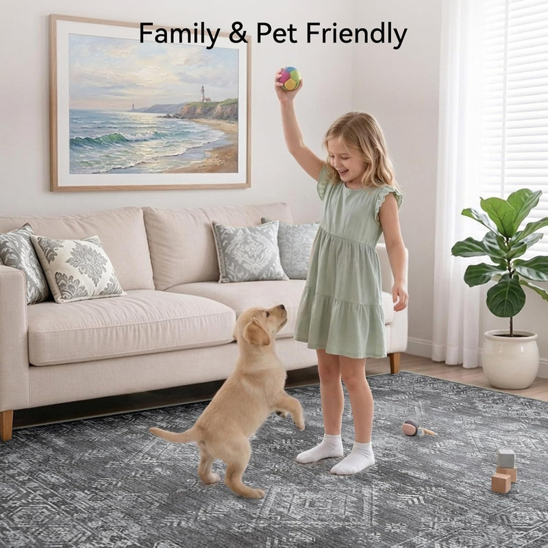 Area Rugs Living Room Washable Rug