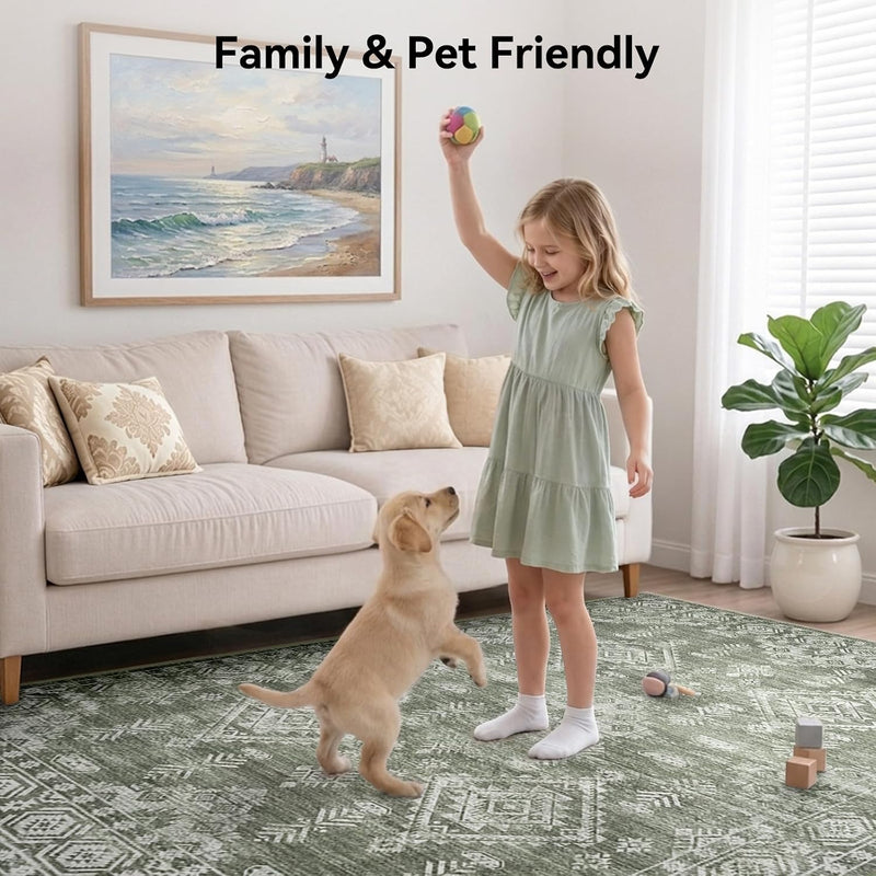 Area Rugs Living Room Washable Rug