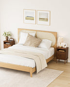 Country Style Bedside Table with Door Shelf