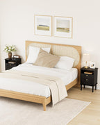 Country Style Bedside Table with Door Shelf
