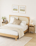 Country Style Bedside Table with Door Shelf