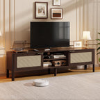 Wooden TV Stand Cabinet Rattan Unit