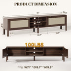 Wooden TV Stand Cabinet Rattan Unit