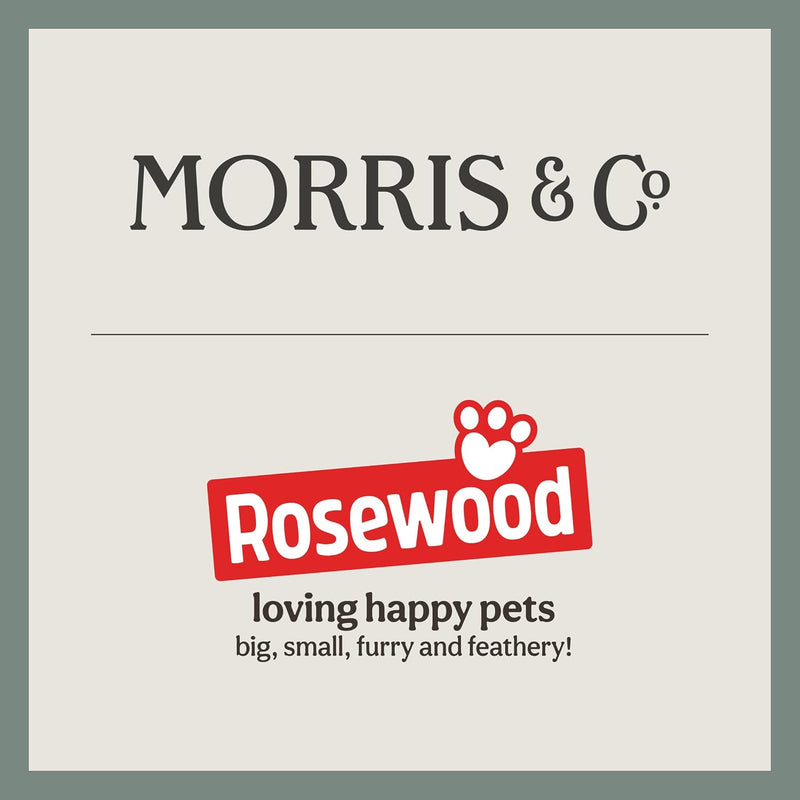 X Morris Co. Golden Lily Reclining Mattress