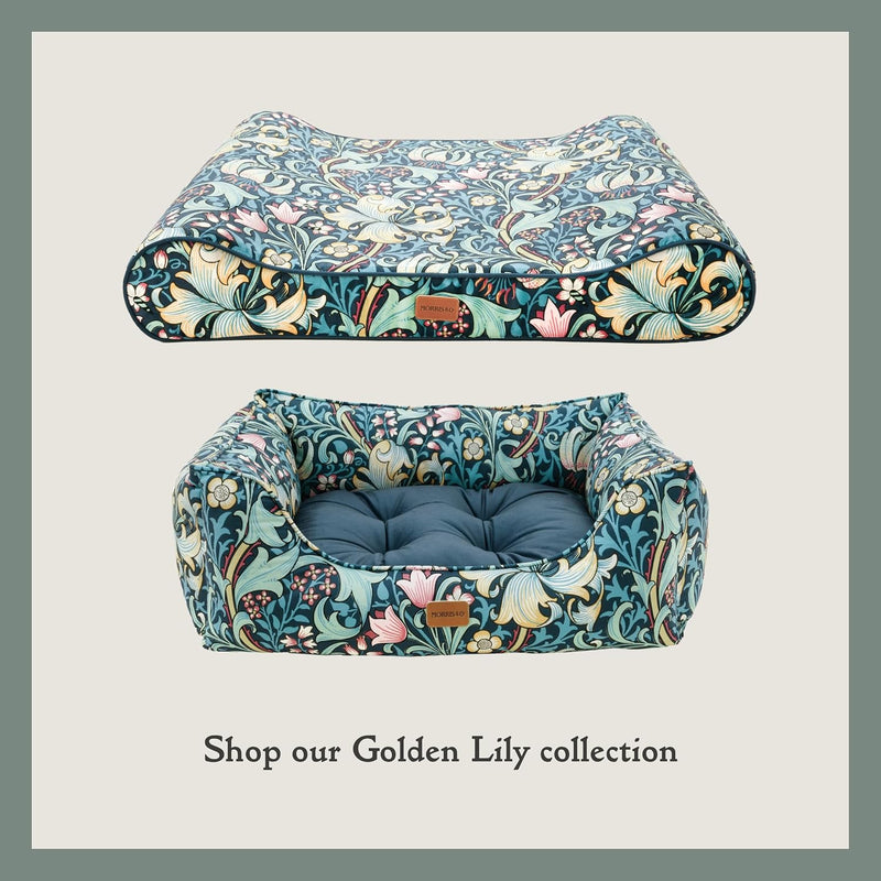 X Morris Co. Golden Lily Reclining Mattress