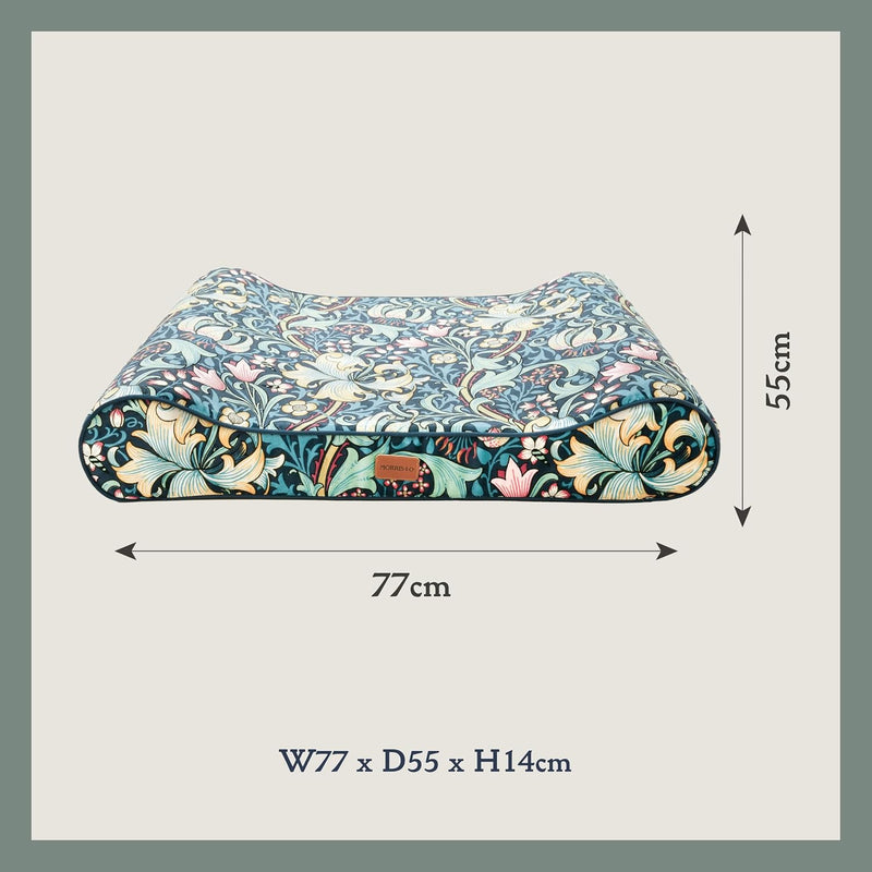 X Morris Co. Golden Lily Reclining Mattress