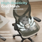 X100 Ergonomic Office Chair Mesh Back 10CM Padded