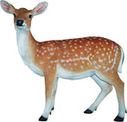 Xrl-Deer-B Size B Real Life Fallow Deer