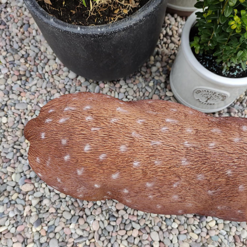 Xrl-Deer-B Size B Real Life Fallow Deer