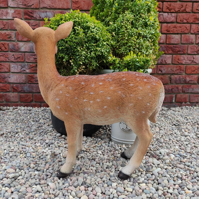 Xrl-Deer-B Size B Real Life Fallow Deer
