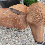 Xrl-Deer-B Size B Real Life Fallow Deer
