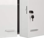 Xxl Medicine Cabinet Premium Locking W 2 Doors