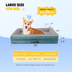 Xxl Orthopedic Dog Bed Waterproof Sofa
