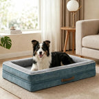 Xxl Orthopedic Dog Bed Waterproof Sofa