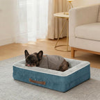 Xxl Orthopedic Dog Bed Waterproof Sofa